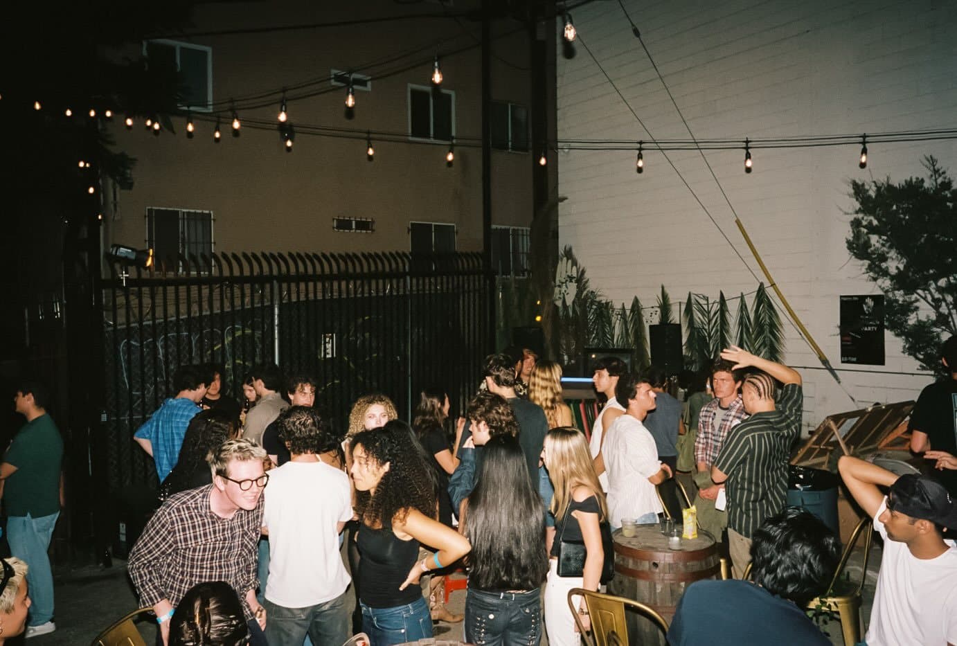 The crowd under string lights at the Palm Radio Launch Party, palm leaves lined up along the wall behind them